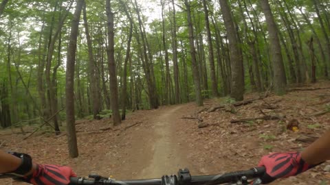 Mountain Biking Dupont State Recreational Forest