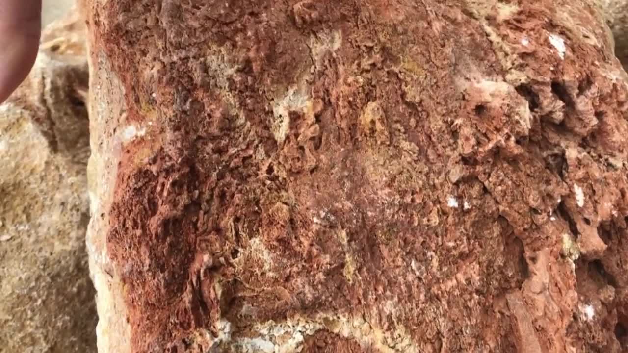Bio-Geology