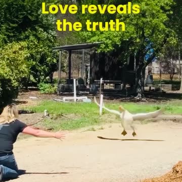 No one has been more compassionate to animals than people of Western Kind