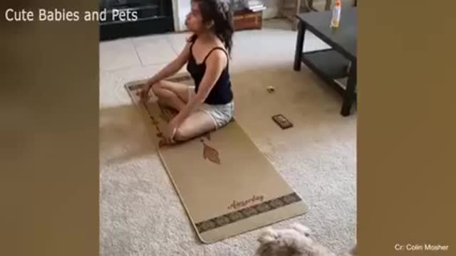 FUNNIEST Videos Ever see