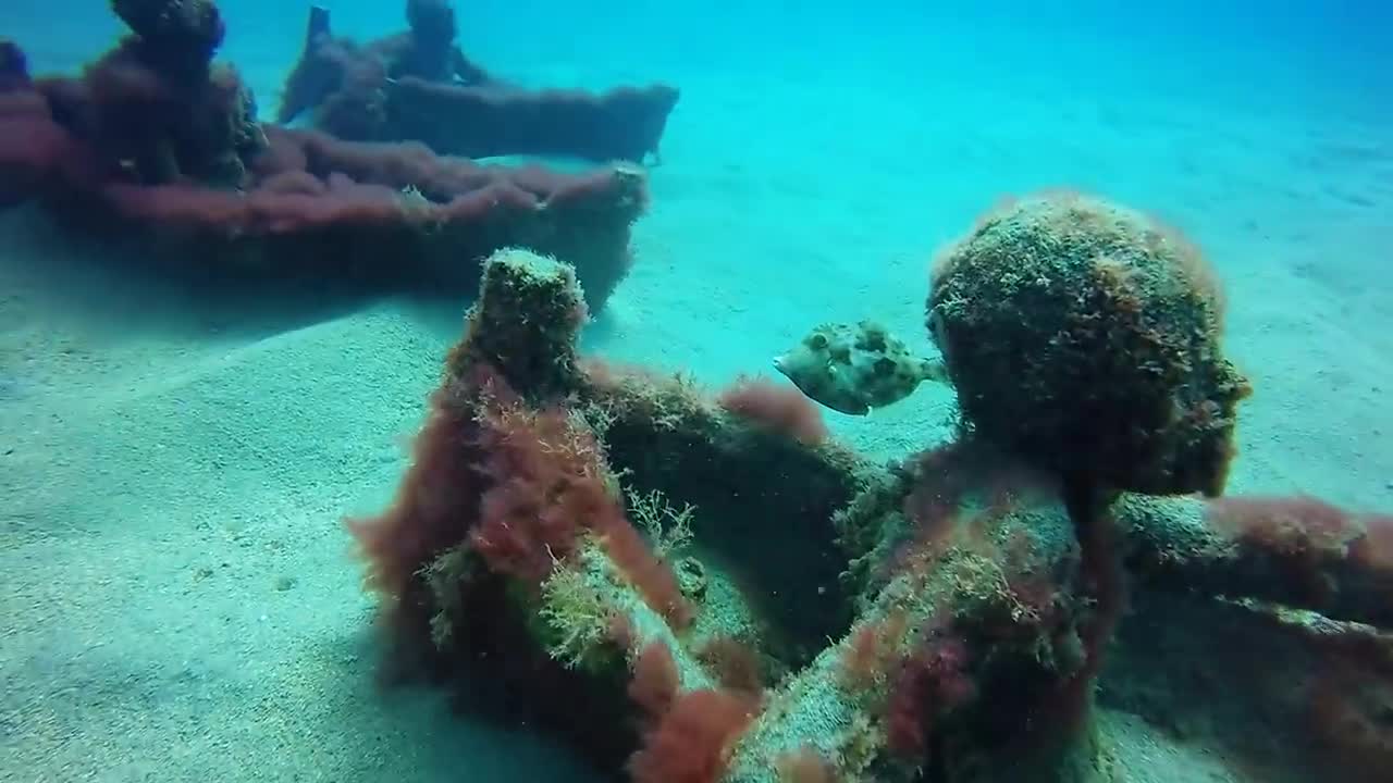 Museo Atlantico, Lanzarote - Feb 2017-8