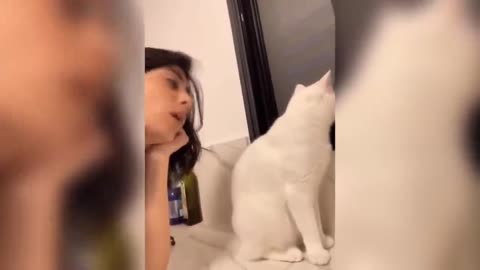 Funny Cats - Part 2