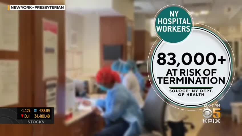 Is the Vaccine Healthy for us?