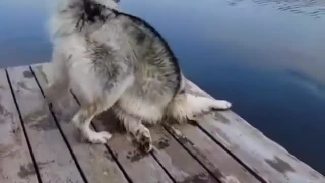 So funny
