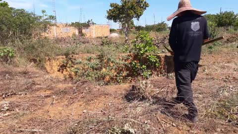 Minha academia é na roça. Fui picado por abelha na trincheira do tanque, "Meu avô me ensinou"