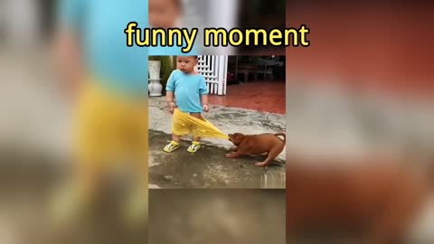 funny moments