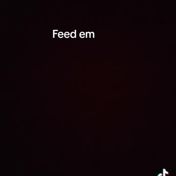 Feed em