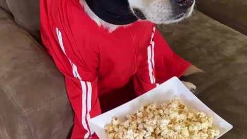 What is your favorite show on TV right now?