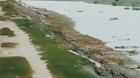 Natural video