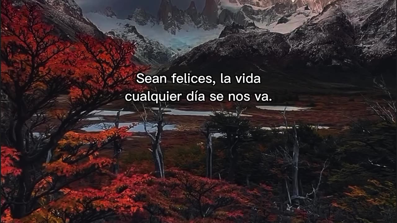 Frases motivación 🌛✨🕊️