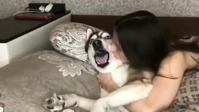 Girl is making laugh to dog