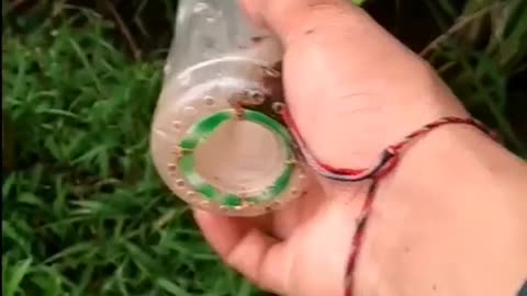 This is a beautiful and charming water-dwelling species