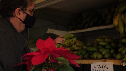 Buying bananas