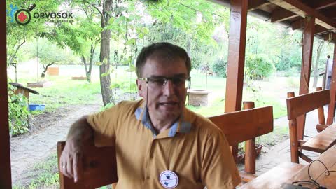 Dr. Tamasi József: A jelen helyzetről