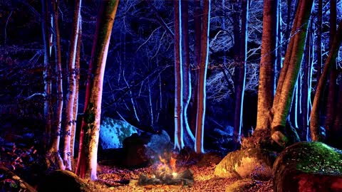 An evening with relaxing sounds of a burning bonfire. The crackling of a fire in the forest.