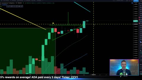 BITCOIN & CARDANO LAUNCHPAD READY! (Be Careful of This ONE THING)