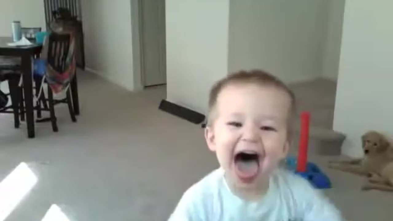 Top 5 Funny kid Videos