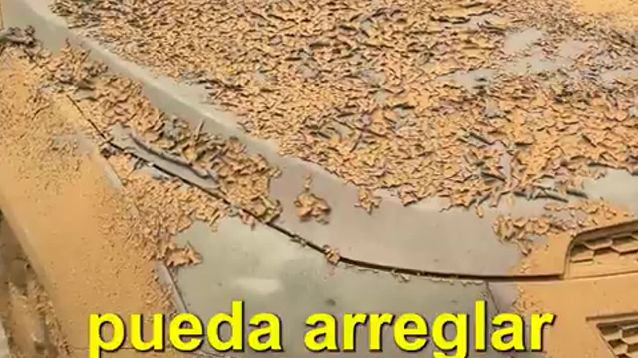 Preparado al 100%