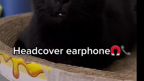 Headcover earphone