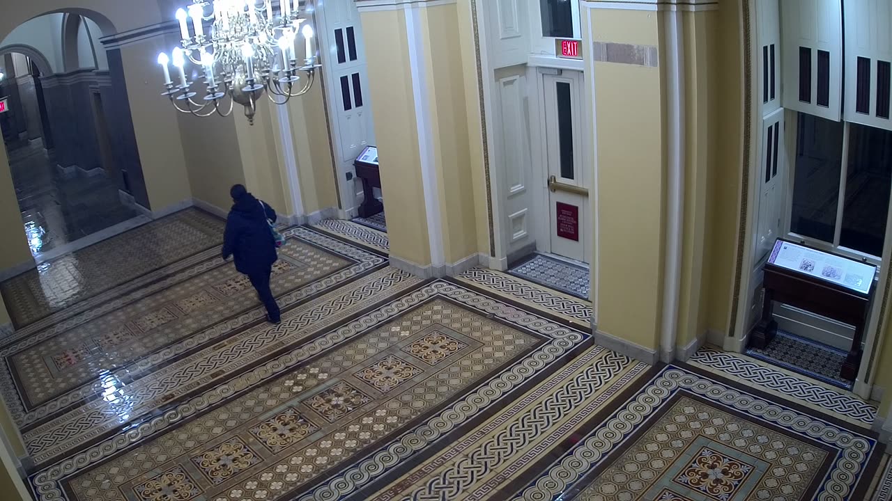 0102USCS01SenateWingDoornearS139_2021-01-06_05h38min12s927ms.mp4