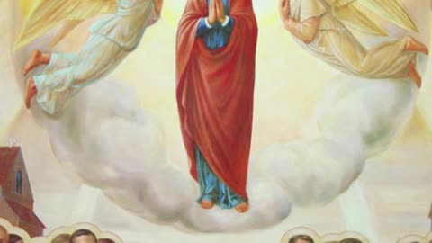 Fr Hewko, Assumption of B.V. Mary 8/15/24 "Ipsa Conteret Caput Tuum!" (MT)