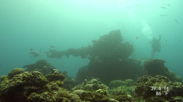 Truk Lagoon SCUBA deck gun Fujikawa Maru