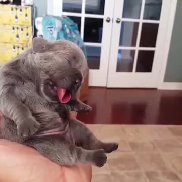 when you just need a place to sleep and now it on the hand