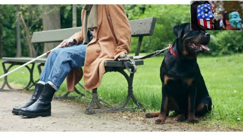 Dog Breeds - Rottweiler - Unlocking The Secrets of Rottweilers!