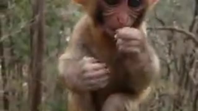 Top videos