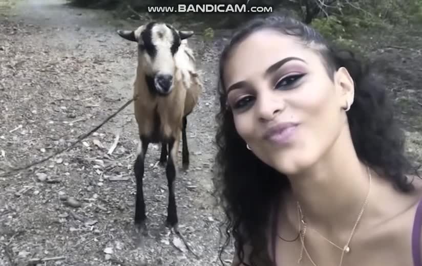 When Goats Attack!!