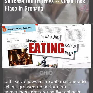 Fact Check: Video Does NOT Show Black Man In Springfield Ohio With Suitcase Full Of Frogs -- Grenada