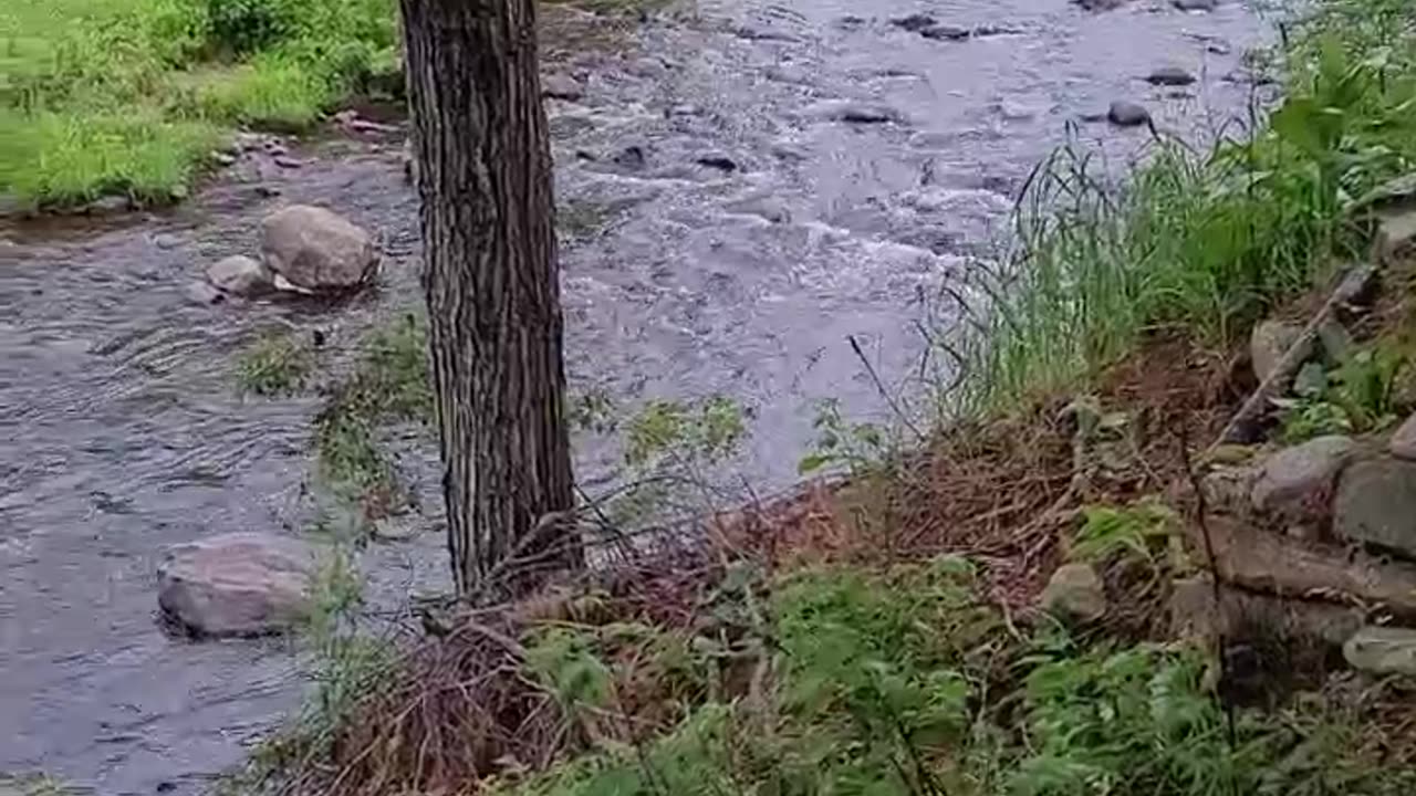 Adirondacks 2023 Private Cabin and Stream