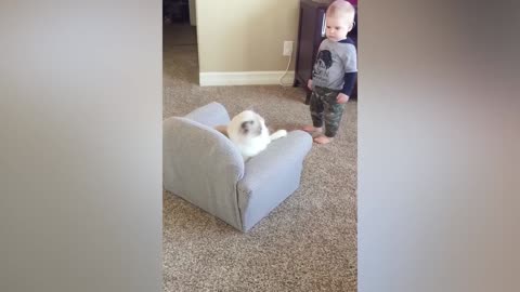 Adorable Shenanigans: Baby and Cat's Heartwarming Playtime - Cute and Funny Video