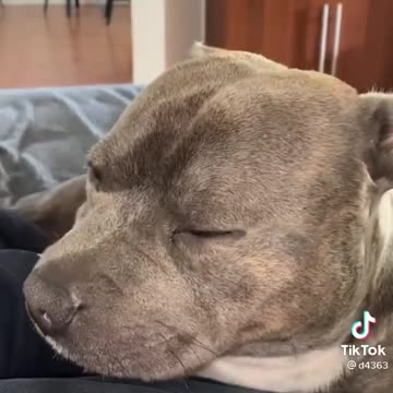 The most beautiful smile on the internet