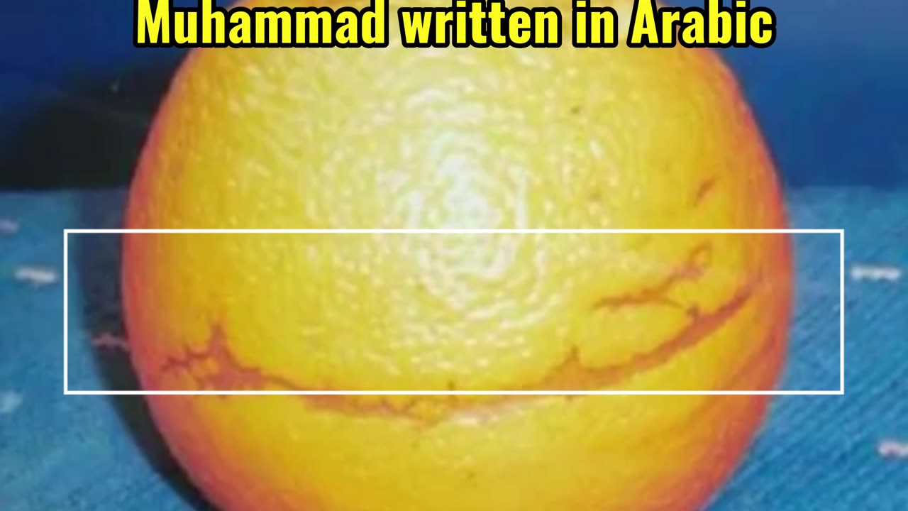 Nature under the command of God