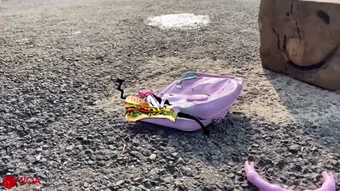 Experiment car vs jelly