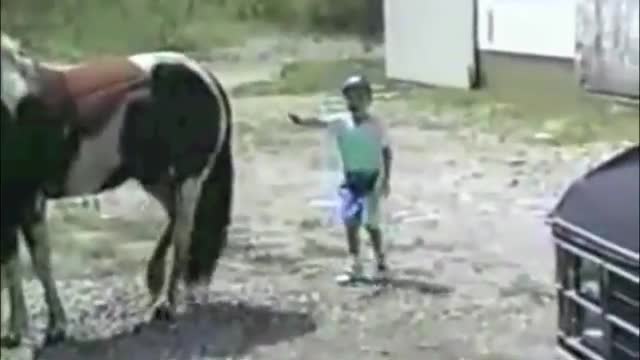 Top 10 Funny #Horse Moments🤣🐎🐴🤣