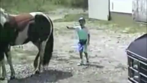 Top 10 Funny #Horse Moments🤣🐎🐴🤣