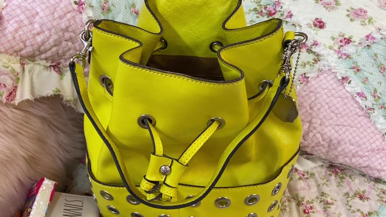 What's in my Patricia Nash Embrisi Drawstring Bag in Peridot.