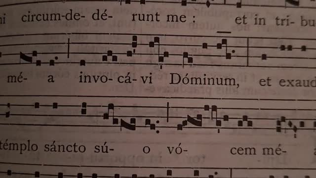 Introit for Septuagesima Sunday