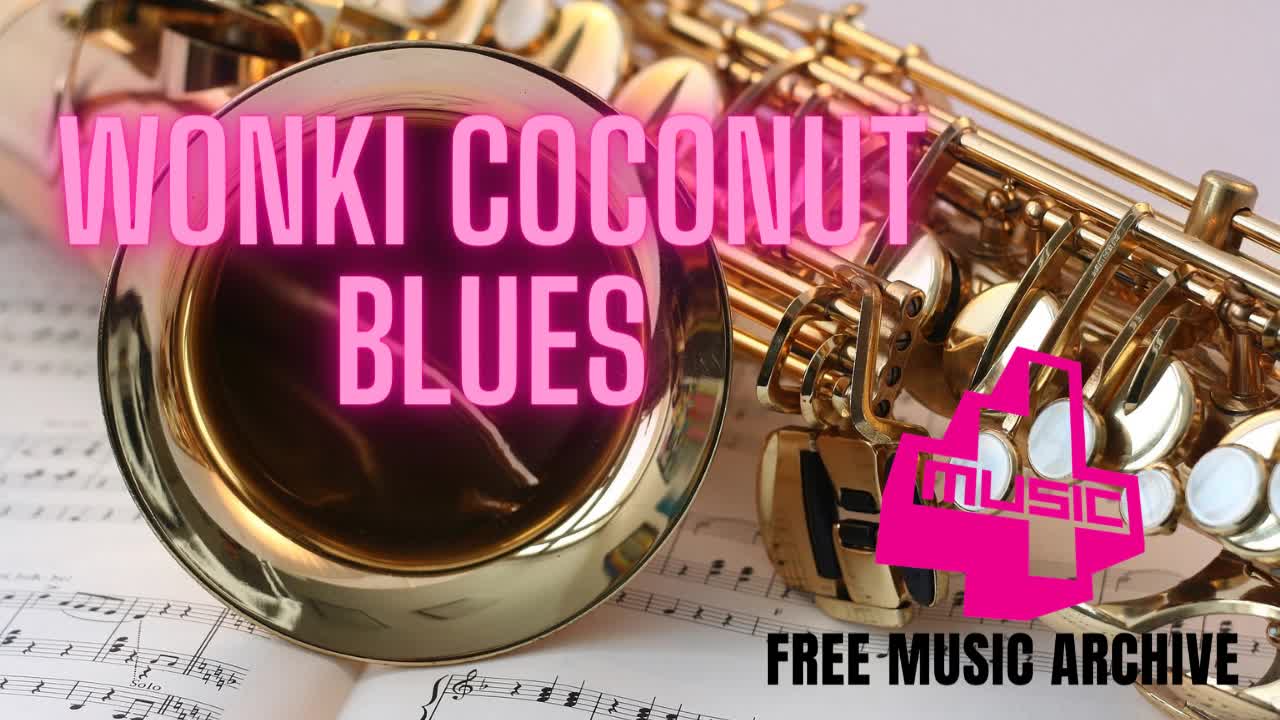 Wonki Coconut - Blues - Electro House Music - Free No Copyright Music