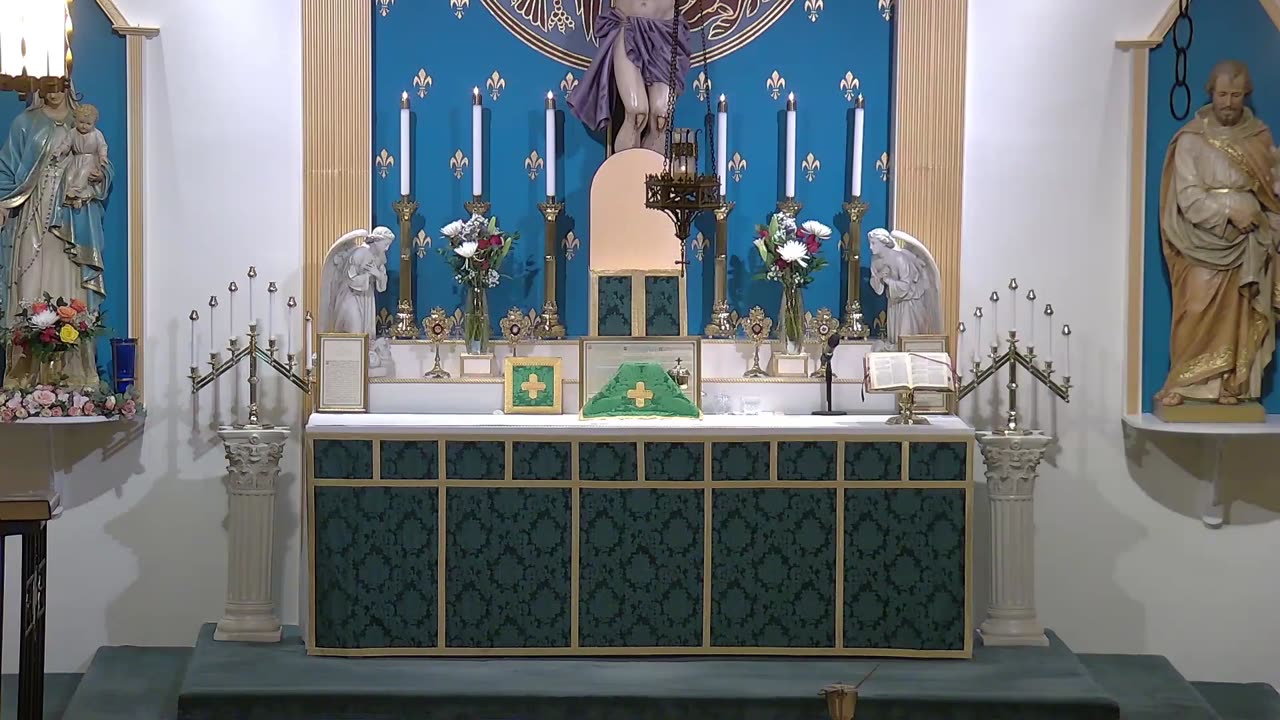Traditional Latin Mass - Twelfth Sunday after Pentecost