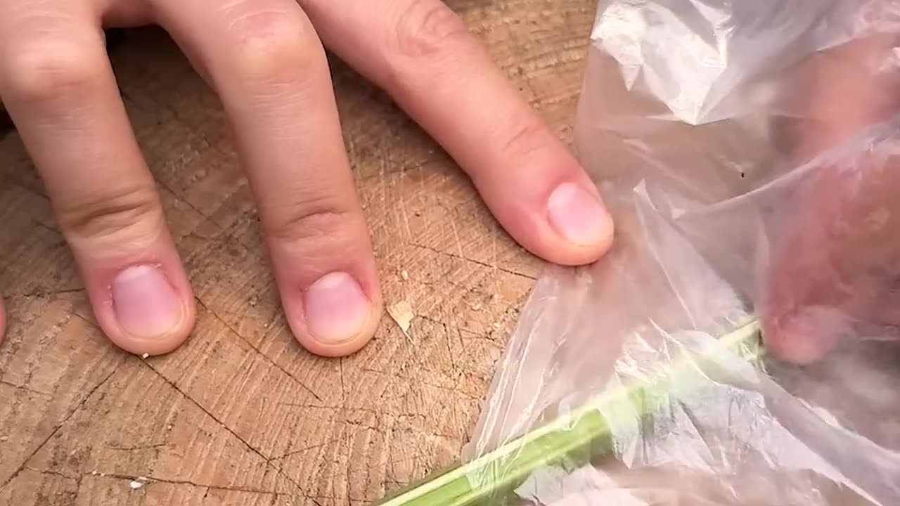 Amazing skills