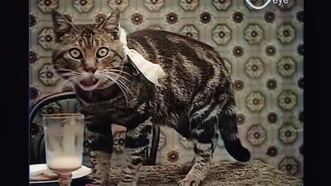 115 Year Old French Film 1906 - Remastered And Colorized.