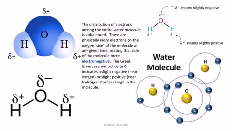 Chemistry: Water, A Polar Molecule
