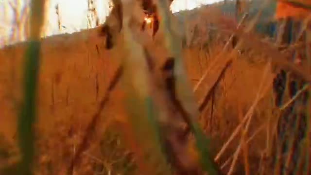 Creative video tips 🌍