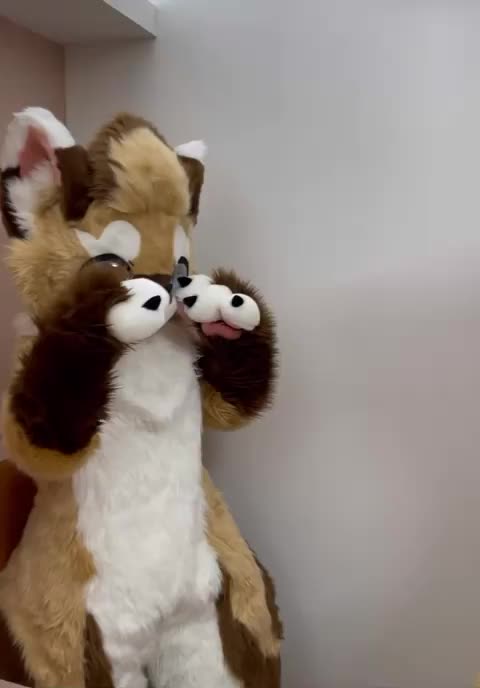 The two brothers are at peace today! (Not at all) 😌