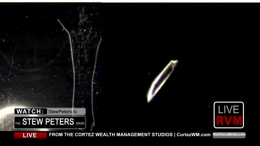 ד"ר ג'ן רובי | רופאים ומדענים קוראים בקריאה עולמית לעצור את החיסונים לקורונה