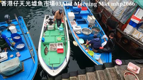 香港仔天光墟魚市場 03 Aberdeen Morning Fish Market, mhp2066, Mar 2022 #香港仔魚市場 #香港仔天光墟 #香港仔海濱公園 #買海鮮