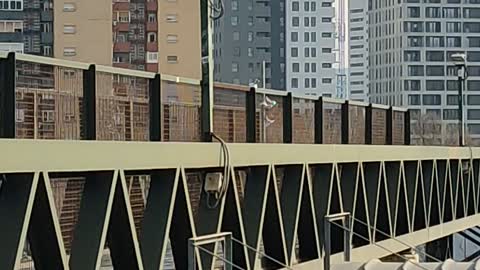 Hospitalet de Llobregat, barcelona
